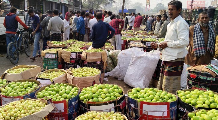 কুলের চাহিদা বাড়ায় দাম বেড়েছে ৩ গুণ